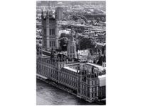 40X60CM LONDYN LOTU PTAKA OBRAZ