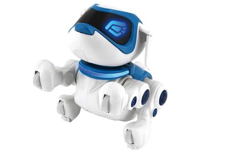 Interaktywny Piesek Teksta 360 na Arena.pl