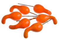 dynia na piku 3,5 x 15cm 6szt. 22CAN22-993_OR