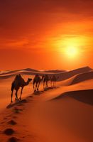 Plakat 56,6x86,4cm Karawana na Pustyni