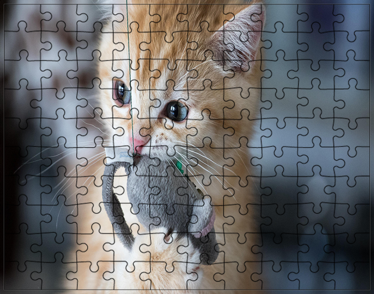 Puzzle Koty zdjęcie 1