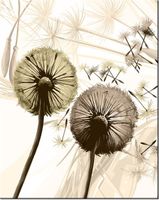 40CM 50CM OBRAZEK ŚCIENNY DMUCHAWCE SEPI DRUK PŁÓTNO OBRAZ