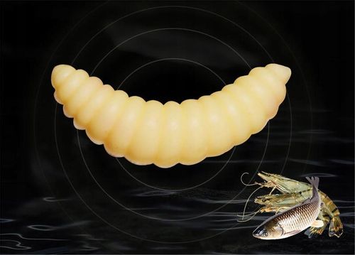 Sztuczne Robaki BIAŁE ZANĘTOWE Przynęty PINKA Muchówki Komplet 100szt na Arena.pl