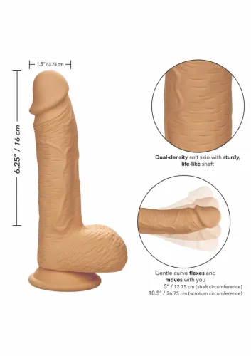 calexotics dual density silicone stud 6.25" anatomiczny silikonowy model na Arena.pl