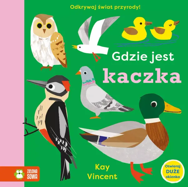 Gdzie jest kaczka zdjęcie 1