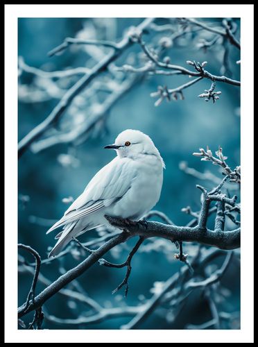 Plakat 50x70cm Perłowy Ptak na Arena.pl