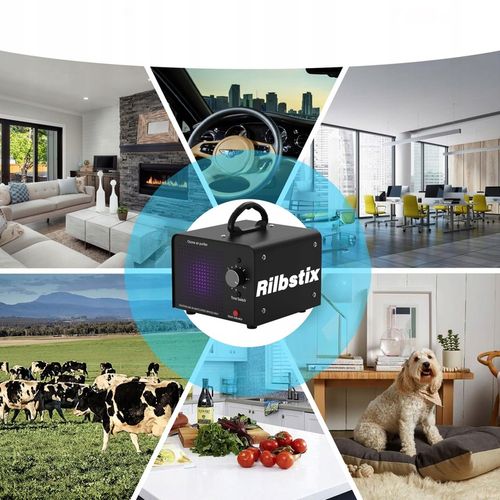 OZONATOR GENERATOR OZONU OCZYSZCZACZ DO POWIETRZA 60 000 mg/h +TIMER na Arena.pl