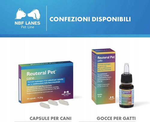 Reuteral Pet gatto NBF Lanes na Arena.pl