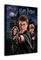 Harry Potter Harry Ron Hermione - Obraz na płótnie 40x50 cm