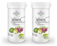 2X Hepafix Ostropest Karczoch sylimaryna 2x60 kaps