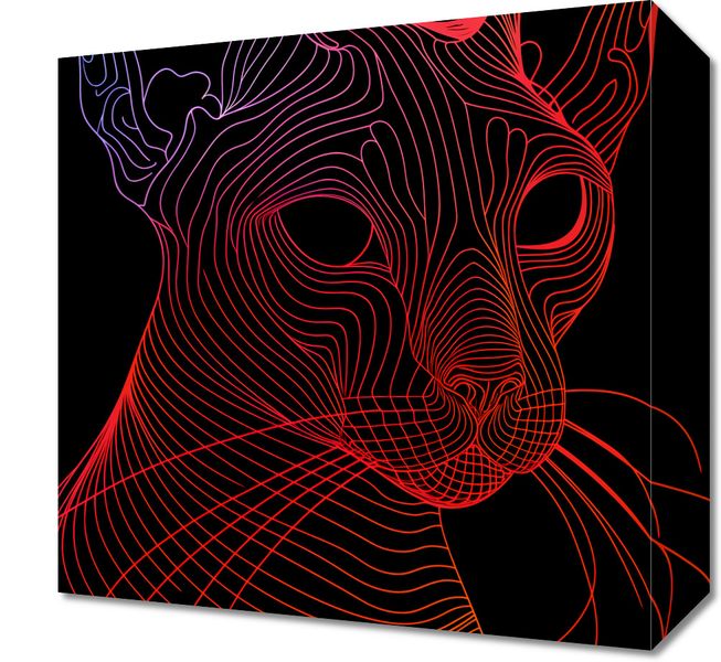 Obraz 30x30cm Cyfrowa Kocica zdjęcie 1