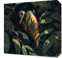 Obraz 40x40cm Skryty Tukan