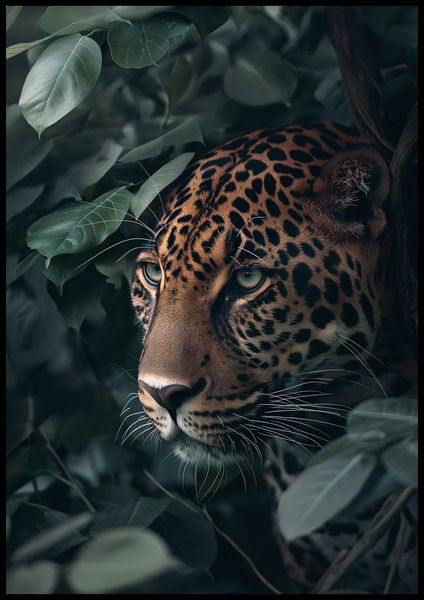 Plakat 70x100cm Schowany w Cieniu zdjęcie 2
