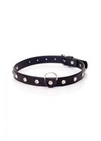 fetish b   series   collar 2 cm silver crystal