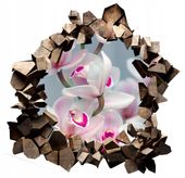 Naklejka samoprzylepna 3D kwiaty orchidea storczyk