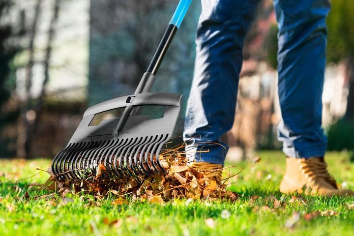 GRABIE DUŻE DO LIŚCI IDEAL PRO CELLFAST 40-312 zdjęcie 7