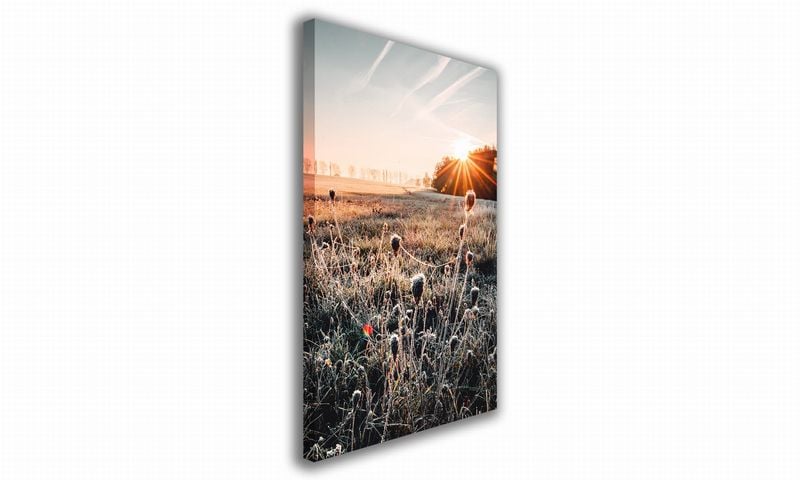 OBRAZ NA PŁÓTNIE 075 Oset 30x40cm zdjęcie 1