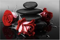 product-compare-58694171