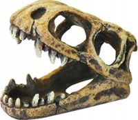 CZASZKA DINOZAURA U779 OZDOBA DO AKWARIUM