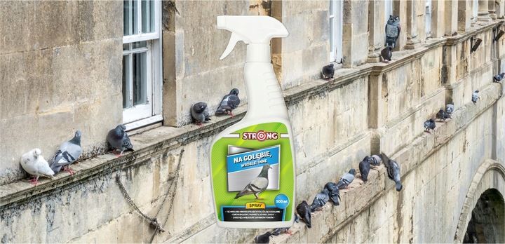 ZESTAW DO ODSTRASZANIA PTAKÓW GOŁĘBIE WRÓBLE MEWY zdjęcie 10