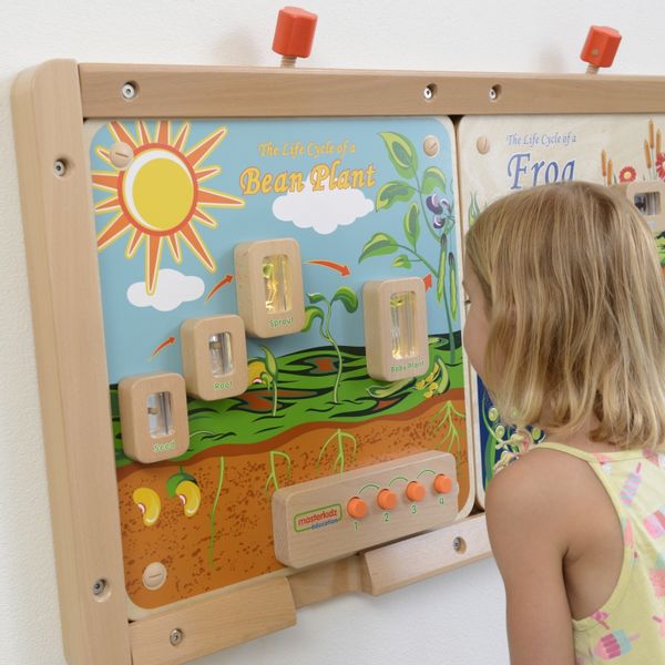MASTERKIDZ Cykl Życia Rośliny Ścienna Tablica Edukacyjna Flex zdjęcie 2