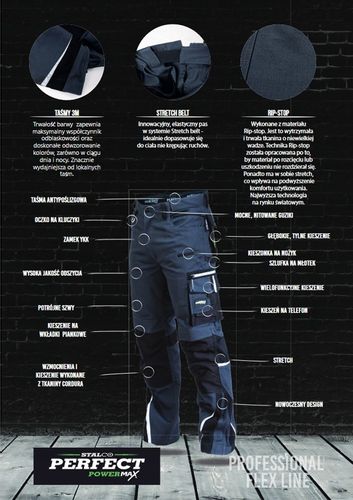 Spodnie robocze PROFESSIONAL FLEX LINE r. L na Arena.pl