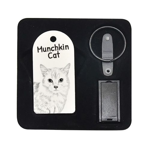Munchkin- pendrive 8GB z wizerunkiem kota. na Arena.pl