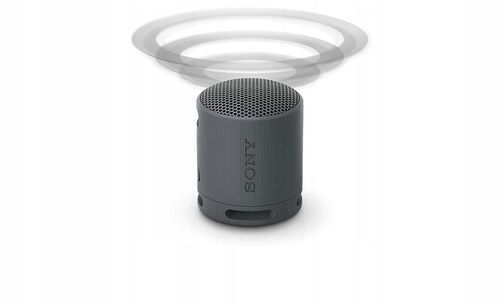 Głośnik przenośny bluetooth Sony SRS-XB100H Szary na Arena.pl