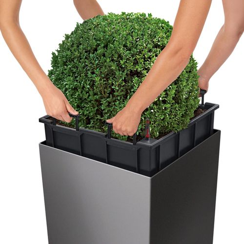DONICA LECHUZA CUBE PREMIUM 50 BIAŁY na Arena.pl