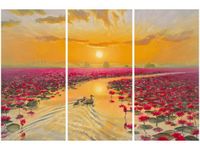 product-compare-58677776