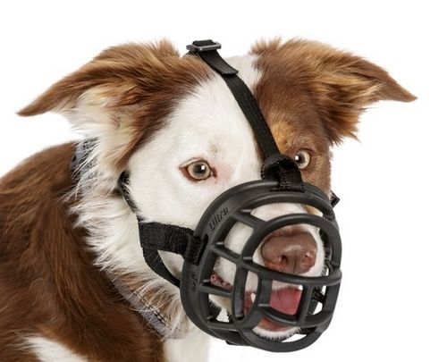 Bezpieczny kaganiec fizjologiczny Baskerville Ultra-4 Husky Spaniel i inne na Arena.pl