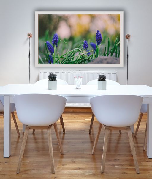 Szafirki – plakat premium 30x20 cm zdjęcie 2