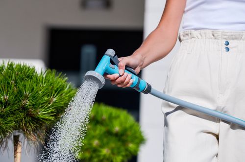 zraszacz pistoletowy shower 2 - c 51-736 na Arena.pl