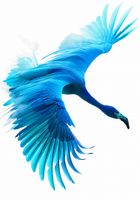 product-compare-59392373