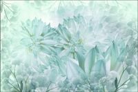 Tło fotograficzne Produktowe FLAT LAT Kulinarne