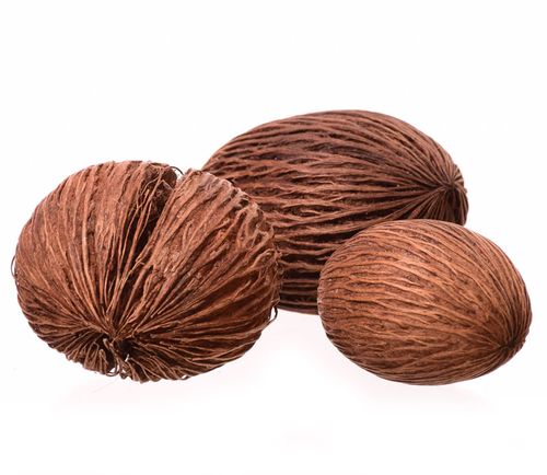 Kula Mintola naturalna na Arena.pl