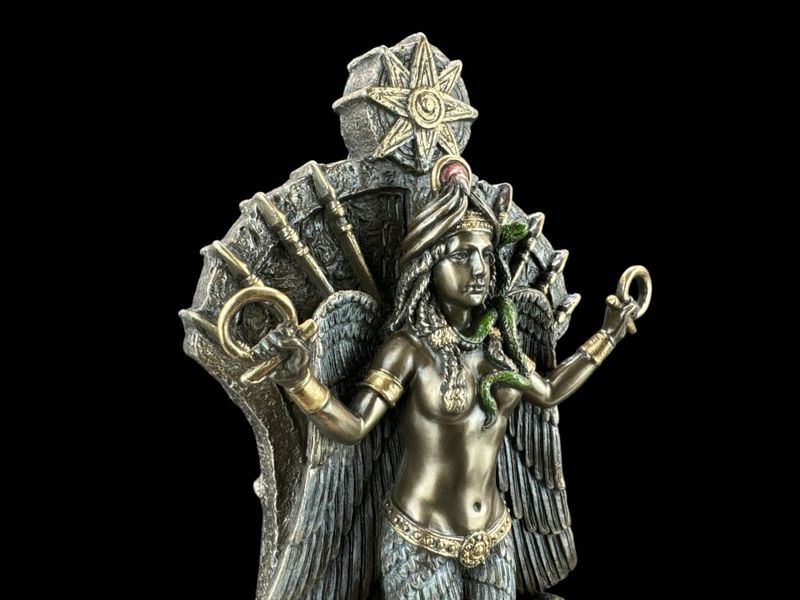 BOGINI WOJNY ISZTAR VERONESE WU77944A4 zdjęcie 6