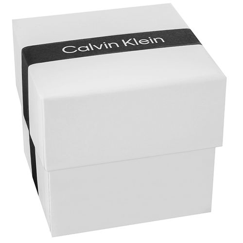 zegarek damski calvin klein timeless mesh 25200001 + box na Arena.pl