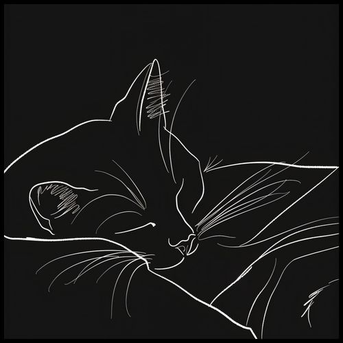 Plakat 80x80cm Nocny Spokój na Arena.pl