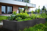 Podwyższona grządka do uprawy warzyw, ziół 150x75 antracyt RAL 7016