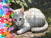 Puzzle tradycyjne Zwierzęta - Kot