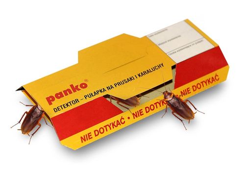 5X LEP PUŁAPKA KLEJ NA KARALUCHY I PRUSAKI PANKO na Arena.pl