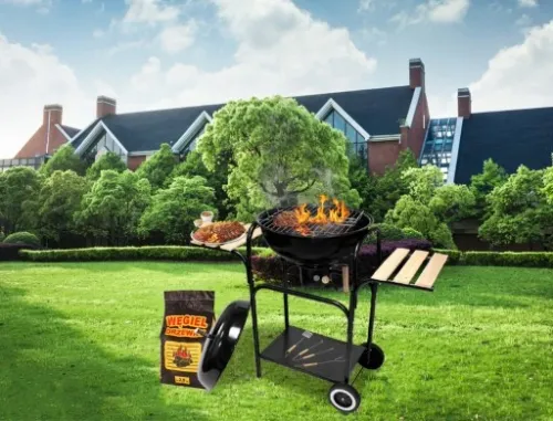 Grill WĘGLOWY na brykiet Ogrodowy zamykany POKRYWA POPIELNIK Gruba na Arena.pl