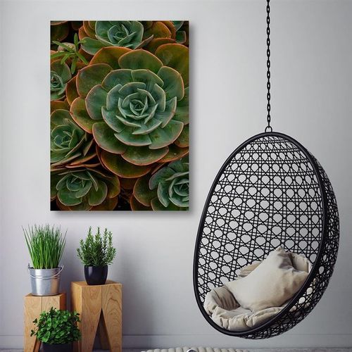 Deco Panel, Grafika z kaktusami 30x40 na Arena.pl