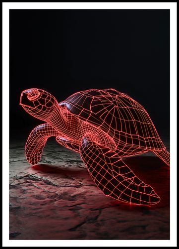 Plakat 70x100cm Neonowy Żółw na Arena.pl