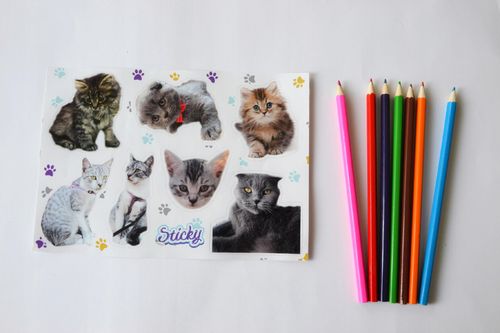 Naklejki na rower bidon kask KOTY na Arena.pl