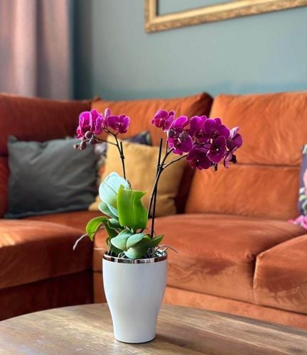 DONICZKA OSŁONKA CERAMICZNA NA STORCZYK BIAŁA na Arena.pl