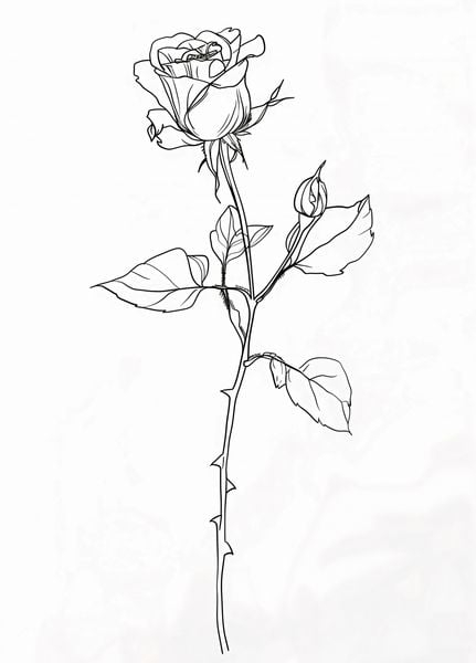 Plakat 39,5x55cm Kontur Róży zdjęcie 1