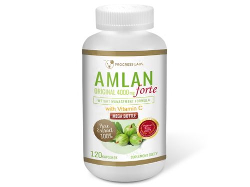Amlan Forte 4000mg 120kap - Progress Labs na Arena.pl