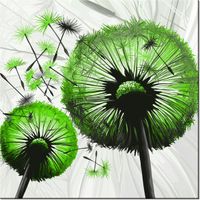 50CM 50CM OBRAZ LIMONKOWE DMUCHAWCE DRUK PŁÓTNO